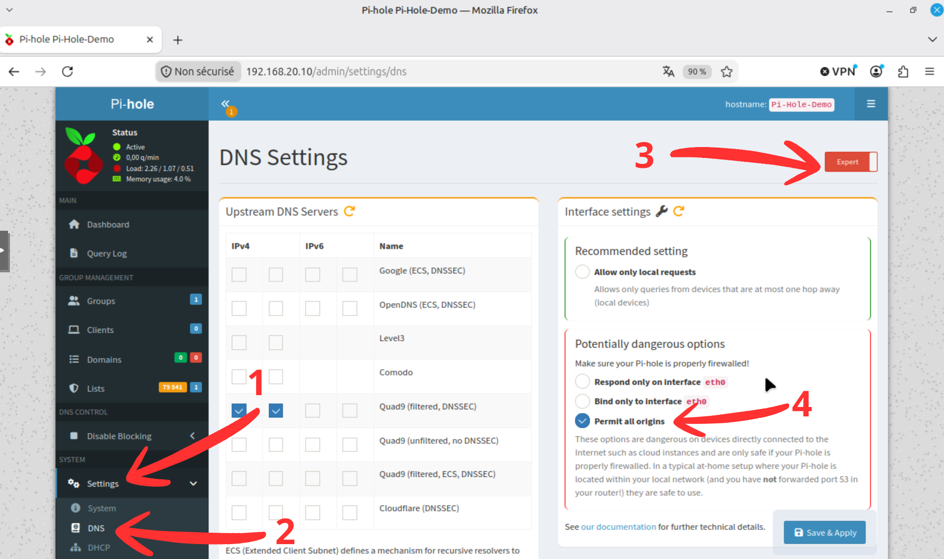 Réglage Interface settings de Pi-hole basculé sur Permit all origins