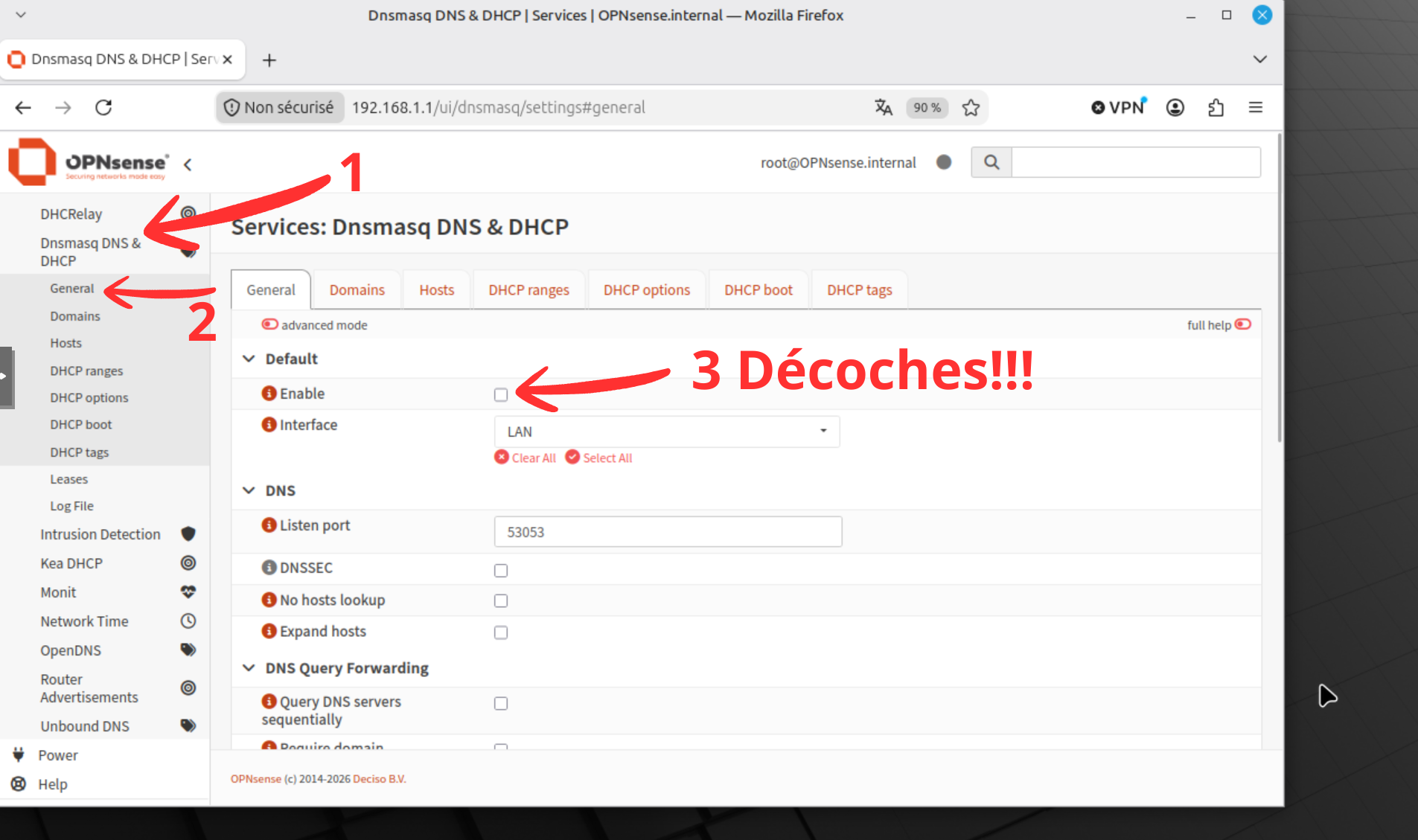 Page General du service Dnsmasq DNS & DHCP avec la case Enable décochée