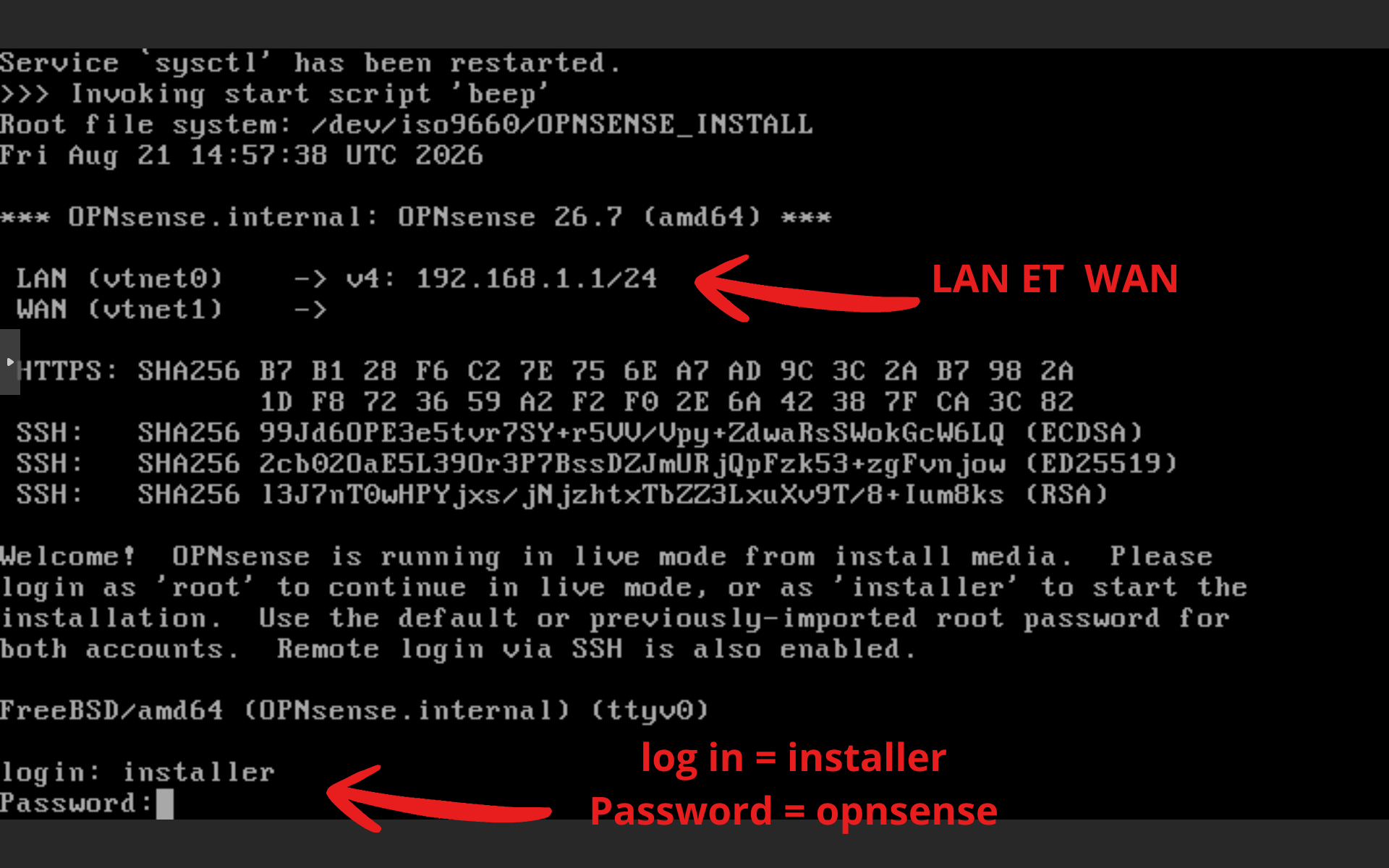 Écran de connexion du système live OPNsense avec les identifiants installer et opnsense