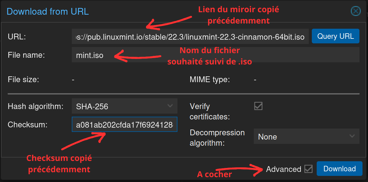fenêtre Download from URL : URL, File name, Checksum, case Advanced